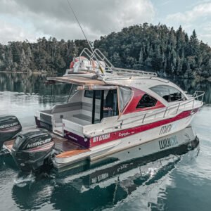 Minicat – Navegación privada por el Lago Moreno